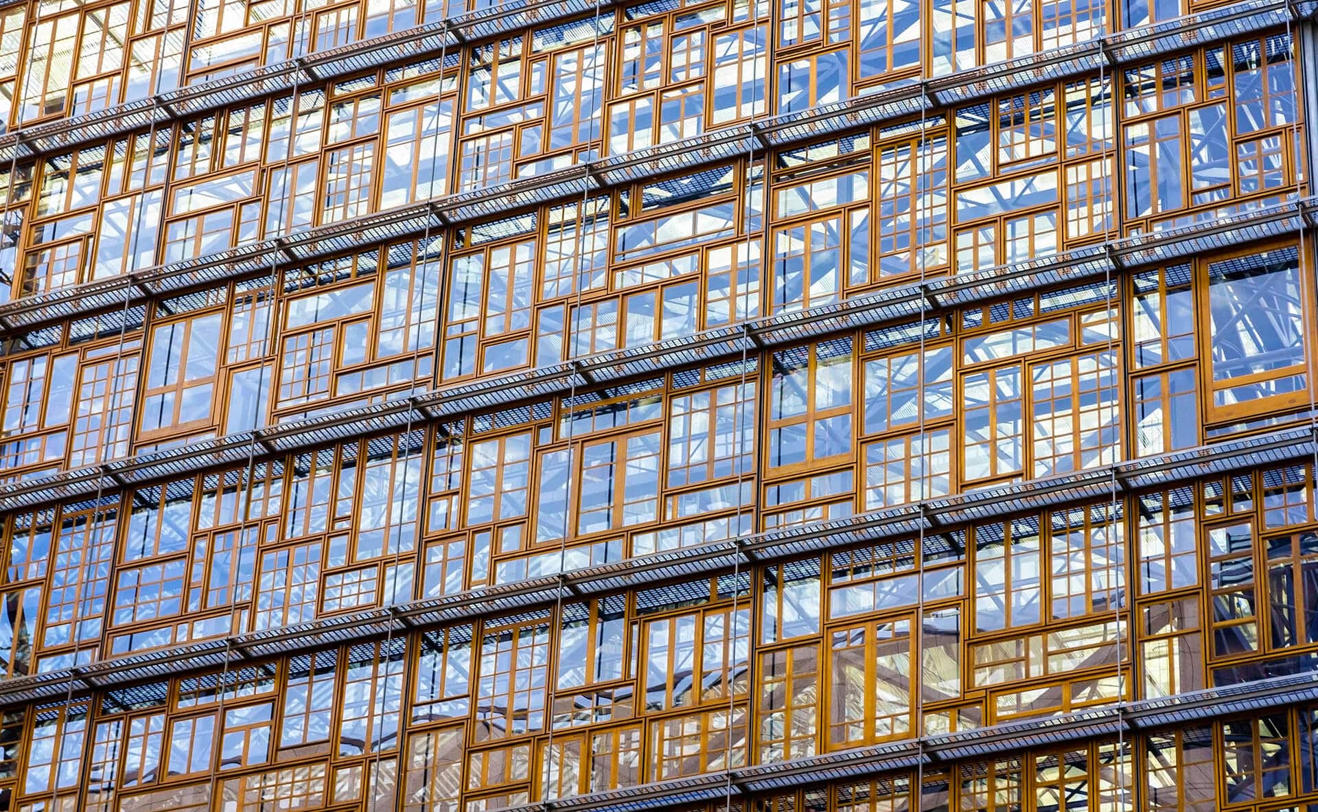 Heinen-Consilium_1