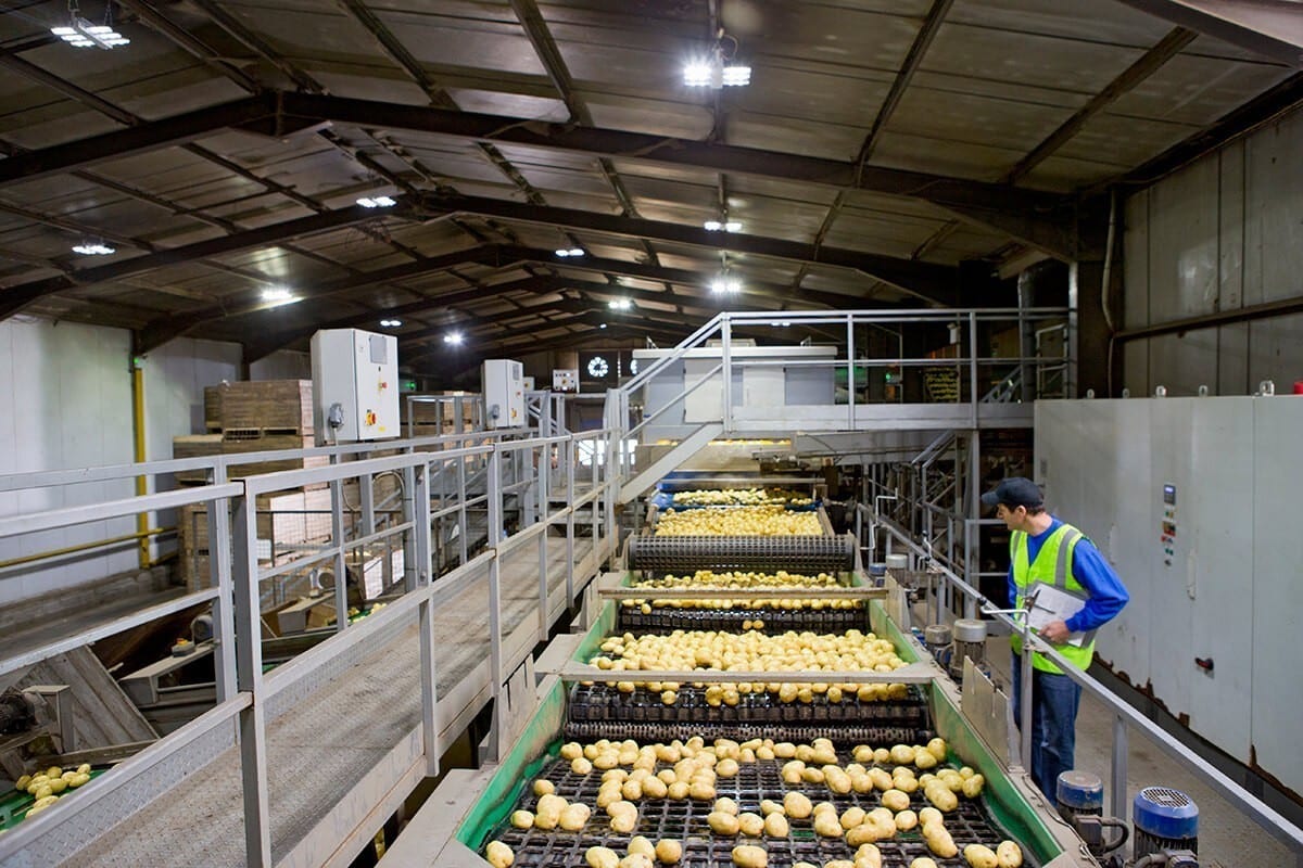 FPHE-0021-Industrie-de-la-pomme-de-terre2